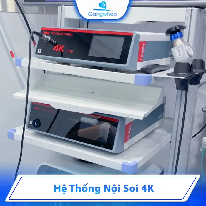 Thẩm Mỹ Viện Gangwhoo – Lựa Chọn Làm Đẹp Hoàn Hảo Cho Bạn