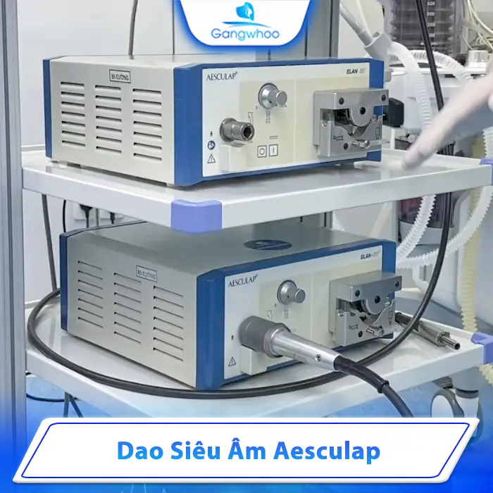 Thẩm Mỹ Viện Gangwhoo – Lựa Chọn Làm Đẹp Hoàn Hảo Cho Bạn